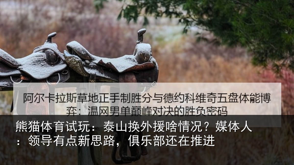 熊猫体育试玩:泰山换外援啥情况?媒体人:领导相关情况