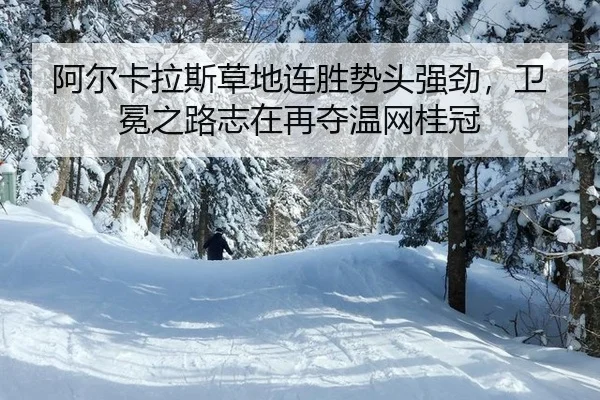 a-er-ka-la-si-cao-di-lian-sheng-shi-tou-qiang-jing-wei-mian-zhi-lu-zhi-zai-zai-duo-wen-wang-gui-guan-2-233.jpg